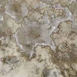 Ignorar las humedades