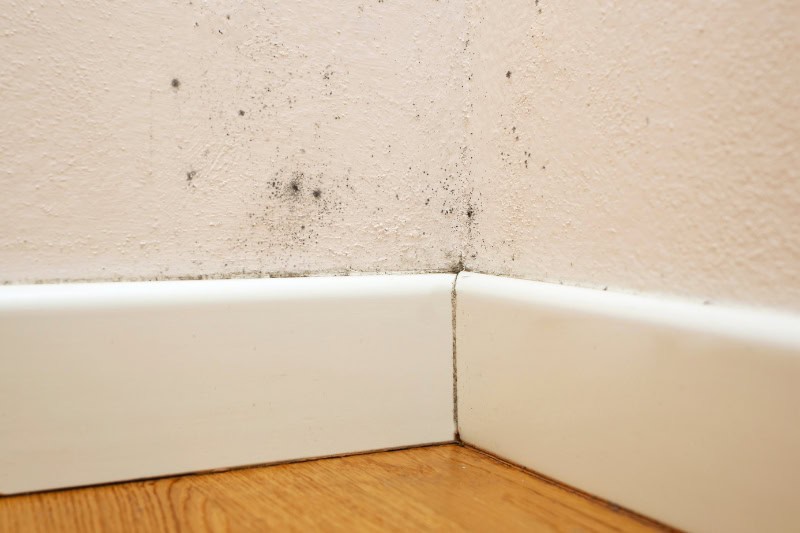 humedad en pisos antiguos